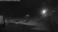 Archiv Foto Webcam Skigebiet Mount Baw Baw - Talstation 01:00