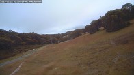 Archived image Webcam Mount Baw Baw Ski Resort - Mid Summit 13:00