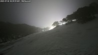 Archived image Webcam Mount Baw Baw Ski Resort - Mid Summit 01:00