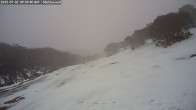 Archived image Webcam Mount Baw Baw Ski Resort - Mid Summit 09:00