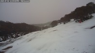 Archived image Webcam Mount Baw Baw Ski Resort - Mid Summit 11:00