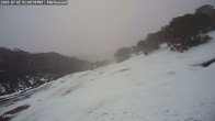 Archived image Webcam Mount Baw Baw Ski Resort - Mid Summit 13:00