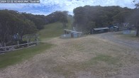 Archived image Webcam Mount Baw Baw Ski Resort - Tank Hill Platter 13:00