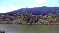 Archiv Foto Webcam Jenner: Bergstation Gondel 11:00