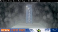 Archiv Foto Webcam Perisher: Neuschnee Snow Stake 22:00