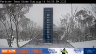 Archiv Foto Webcam Perisher: Neuschnee Snow Stake 08:00