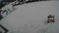 Archiv Foto Webcam Faistenau: Blick auf die Loipe 07:00