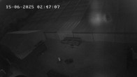 Archiv Foto Webcam Faistenau: Blick auf die Loipe 01:00
