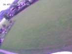 Archiv Foto Webcam Faistenau: Blick auf die Loipe 11:00