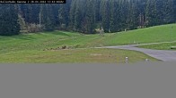 Archived image Webcam Willingen - Biathlon Roller Ski 11:00