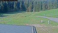 Archived image Webcam Willingen - Biathlon Roller Ski 07:00