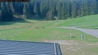Archived image Webcam Willingen - Biathlon Roller Ski 09:00
