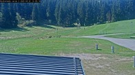 Archiv Foto Webcam Willingen: Biathlon Rollerbahn 11:00