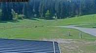 Archiv Foto Webcam Willingen: Biathlon Rollerbahn 11:00