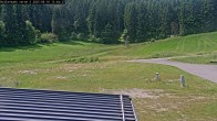 Archived image Webcam Willingen - Biathlon Roller Ski 11:00