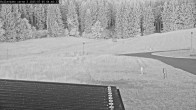 Archiv Foto Webcam Willingen: Biathlon Rollerbahn 03:00