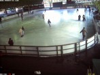 Archived image Webcam Willingen - View Ice Arena 15:00