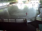 Archived image Webcam Willingen - View Ice Arena 09:00
