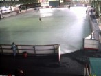 Archiv Foto Webcam Eissporthalle Willingen 07:00