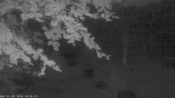 Archiv Foto Webcam Blick auf den Freibergsee bei Oberstdorf 03:00