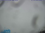 Archiv Foto Webcam Skigebiet Corno alle Scale - Abfahrt La Polla 11:00