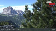 Archived image Webcam Val Gardena - Col Raiser Top Station 08:00