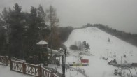 Archiv Foto Webcam Palenica - Bergstation 12:00