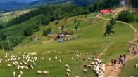 Archiv Foto Webcam Palenica - Szafranówka 10:00