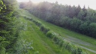 Archived image Webcam Laskowa Ski - Slope No. 1 20:00