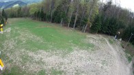 Archived image Webcam Kasina Ski - Top Station 08:00