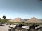 Archived image Webcam Mogelsberg - Baumwipfelpfad Neckertal 13:00