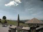 Archiv Foto Webcam Mogelsberg - Treetop Walk Neckertal 13:00