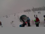 Archiv Foto Webcam Weinebene Skigebiet: Zauberteppich 12:00