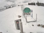 Archived image Webcam Weinebene Ski Resort: Magic Carpet 11:00