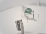 Archived image Webcam Weinebene Ski Resort: Magic Carpet 06:00
