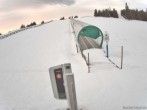 Archived image Webcam Weinebene Ski Resort: Magic Carpet 05:00