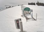 Archived image Webcam Weinebene Ski Resort: Magic Carpet 11:00