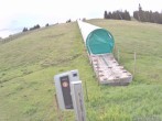 Archived image Webcam Weinebene Ski Resort: Magic Carpet 05:00