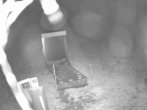 Archiv Foto Webcam Weinebene Skigebiet: Zauberteppich 20:00