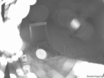Archiv Foto Webcam Weinebene Skigebiet: Zauberteppich 01:00