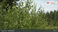 Archiv Foto Webcam Mehlmeisel: Klausenlifte im Fichtelgebirge 08:00