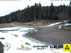 Archiv Foto Webcam Loipenzentrum Hohtann-Belchen 11:00