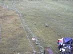 Archiv Foto Webcam Schlepplifte in Sinswang 06:00