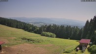 Archiv Foto Webcam Sankt Englmar - Hinterwies 09:00