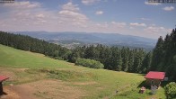 Archiv Foto Webcam Sankt Englmar - Hinterwies 11:00