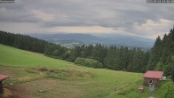 Archived image Webcam St. Englmar - Hinterwies 13:00