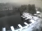 Archiv Foto Webcam Mummelsee Panorama 08:00