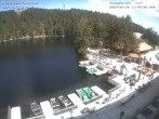 Archiv Foto Webcam Mummelsee Panorama 11:00