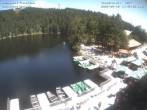 Archiv Foto Webcam Mummelsee Panorama 11:00