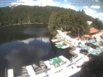 Archiv Foto Webcam Mummelsee Panorama 13:00